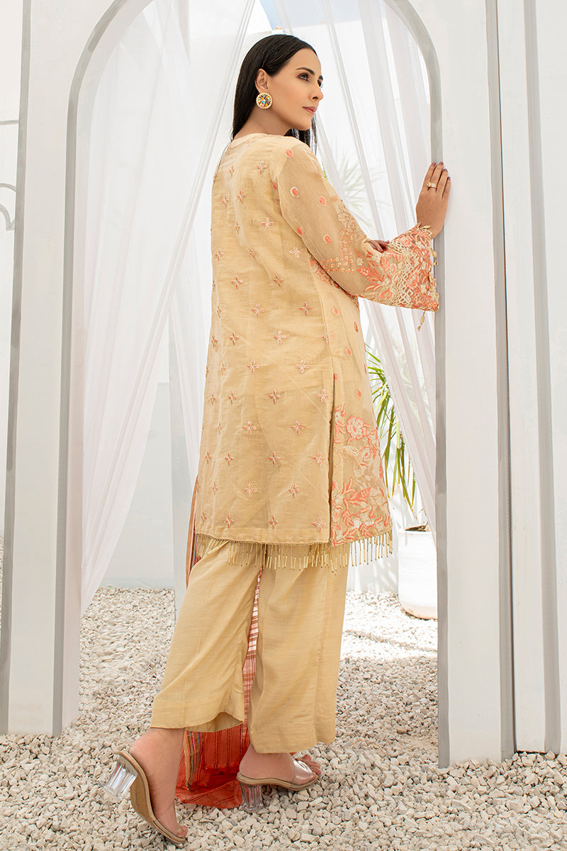 Festive 3 Piece Embroidered Cotton Golden Brown Suit