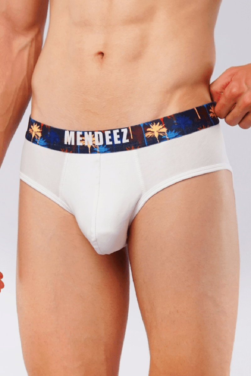 Palmy Briefs Pack of 3