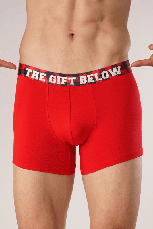 The Gift Below Boxer Trunk