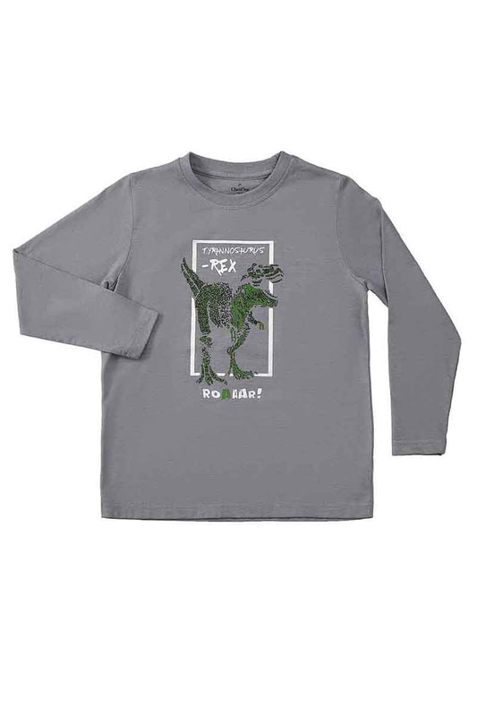 Kds-Bc-12672 Knitted T-Shirt R/N F/Slv Grey